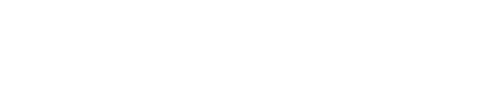 BrooklynWebSite Logo
